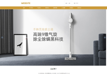 專業(yè)團隊的網(wǎng)站建設與在線預約管理