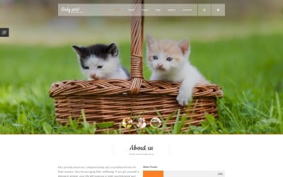 如何分析網(wǎng)站流量的來源--網(wǎng)站建設公司分享