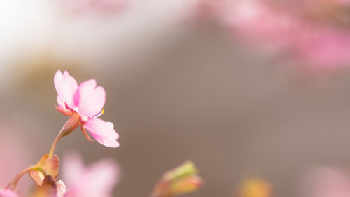 備案網(wǎng)站類型