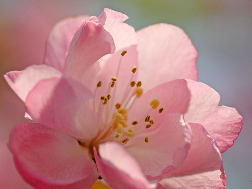 營(yíng)銷型網(wǎng)站建設(shè)原則