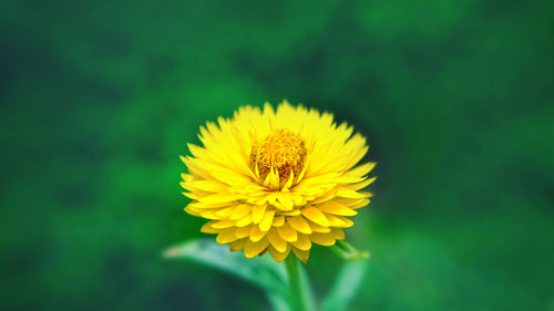 選擇做營(yíng)銷型網(wǎng)站有什么好處