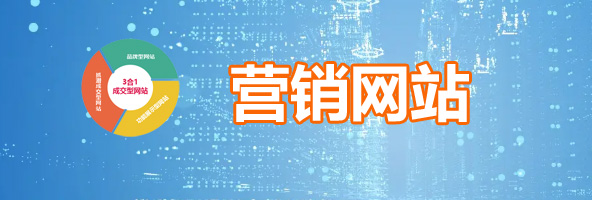 營銷網(wǎng)站建設